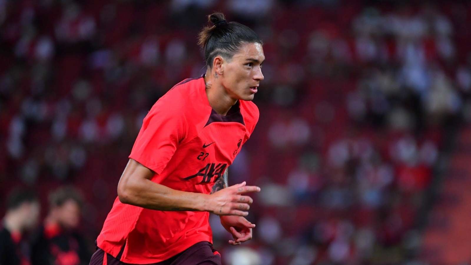 触奥斯梅恩 触奥斯梅恩