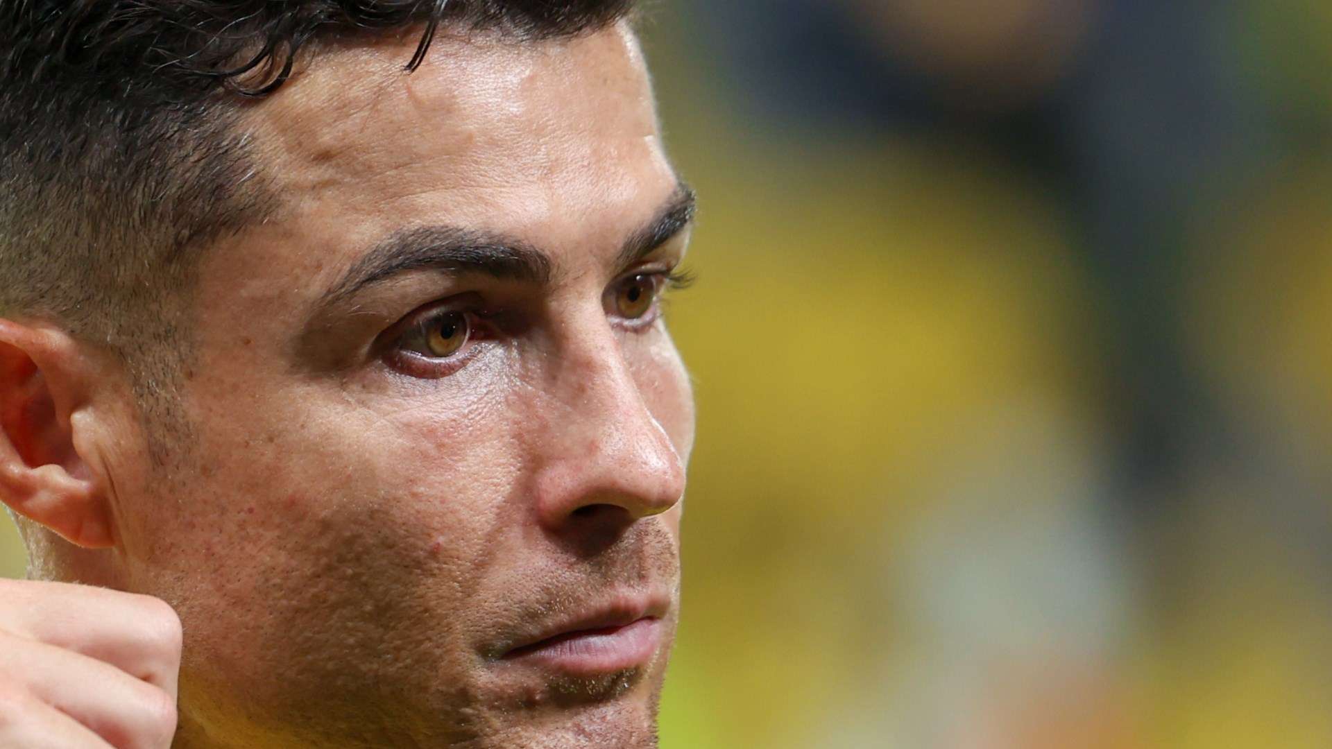 是否会真正 是否会真正